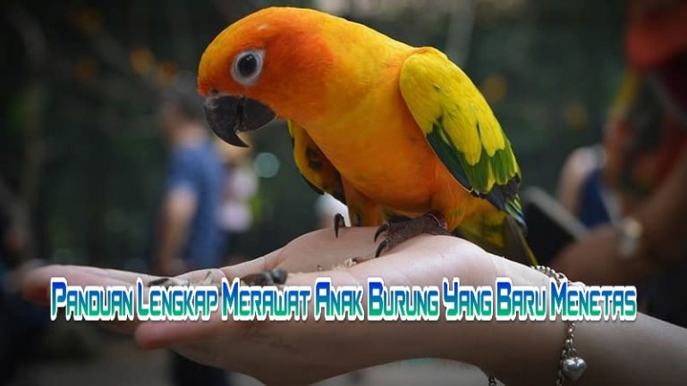 game slot yang bisa dijual